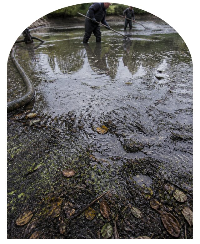 Очистка пруда в Новоалтайске от ила мусора и водорослей с вывозом